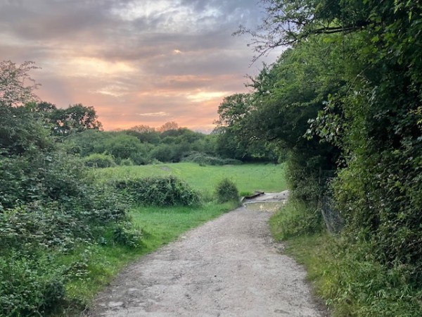 Adventures from the Knepp Estate England Part&nbsp;I