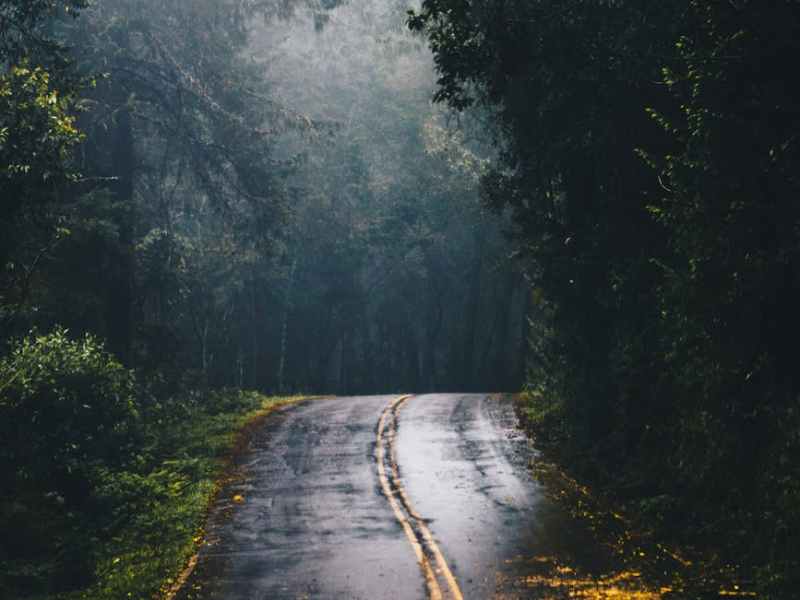 The Road to&nbsp;Rewilding