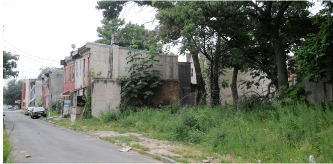 Memory in the Concrete: Rewilding Through&nbsp;Bioregionalism