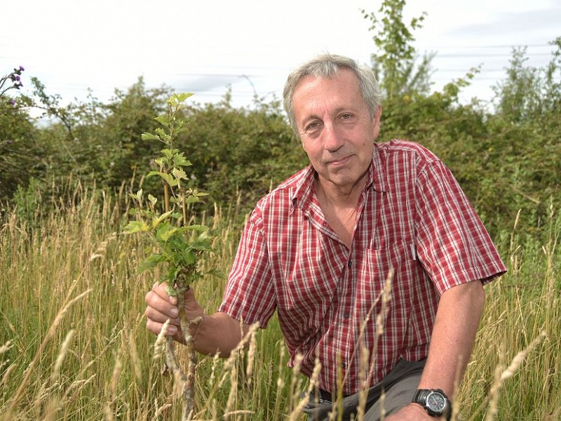 Episode 1: Conservation, Knepp, & Rewilding&nbsp;England