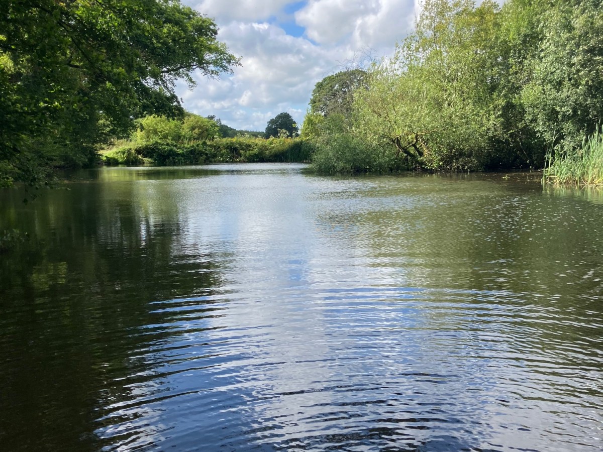 Adventures from the Knepp Estate England Part&nbsp;III