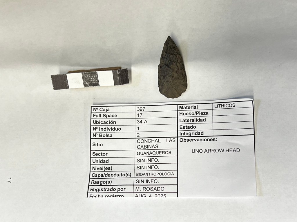 Three Weeks in Chile: From Anthropological Insight to Personal&nbsp;Journey