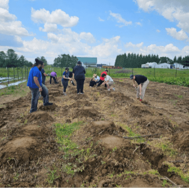 “And The Corn Remembered The Land”: Utilizing Indigenous&nbsp;Ingredients