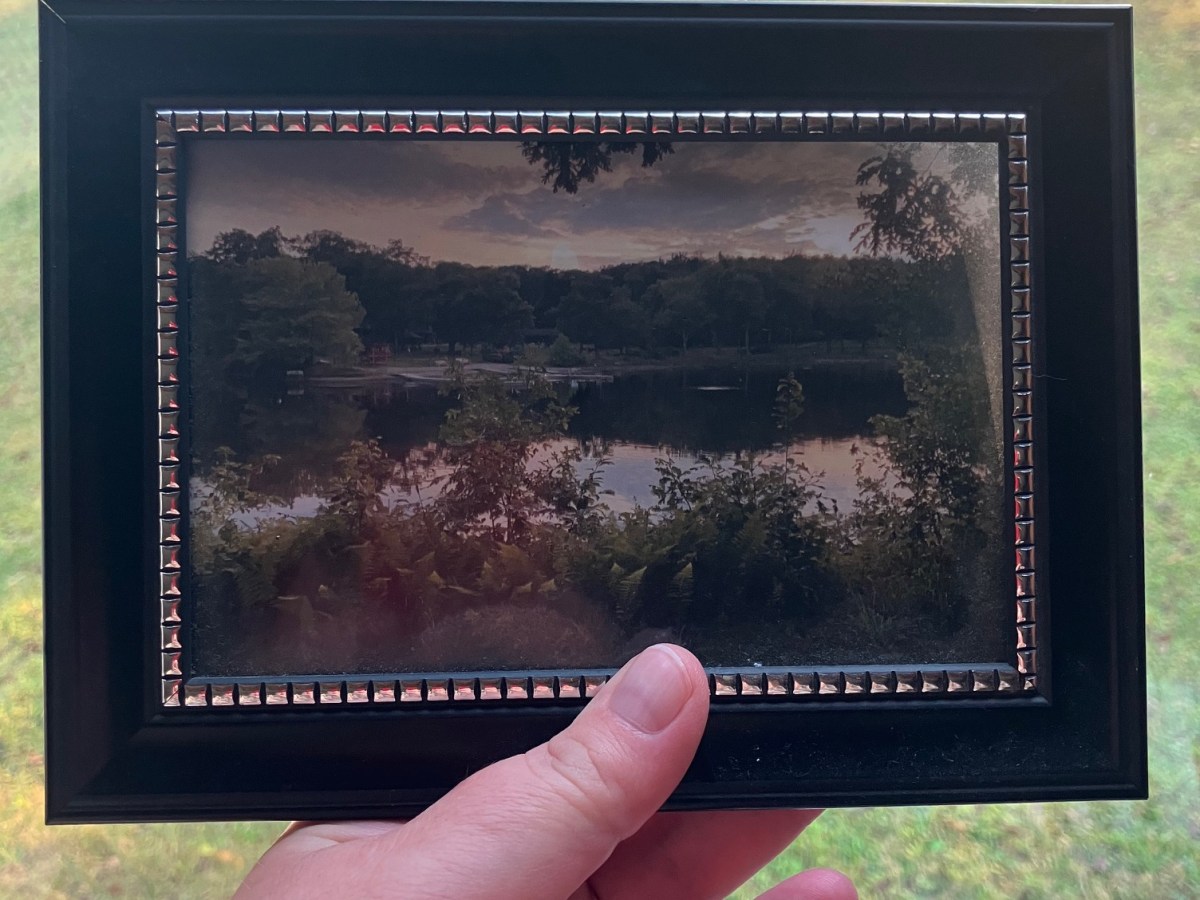 The Women & Their Woods: A Retreat by Ridge & Valley&nbsp;Conservancy