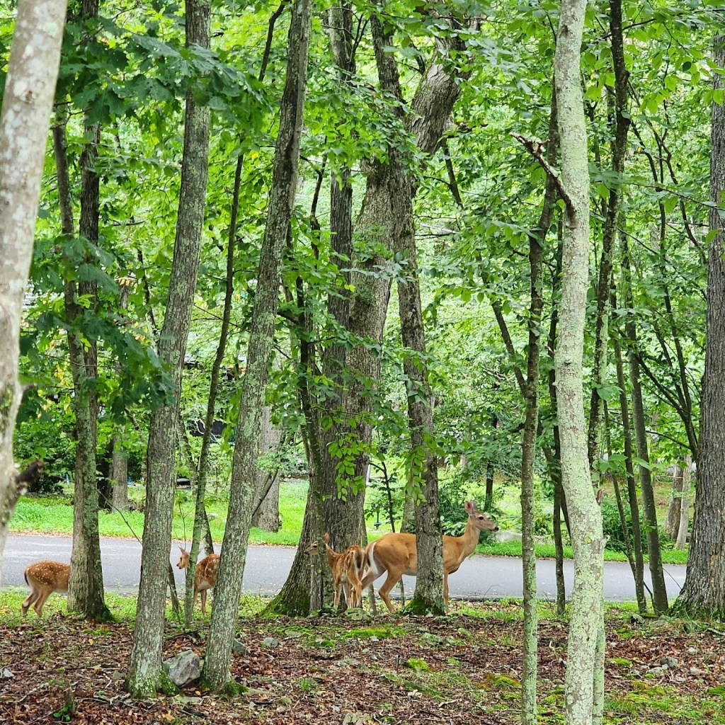 Stewarding Eden to&nbsp;Me