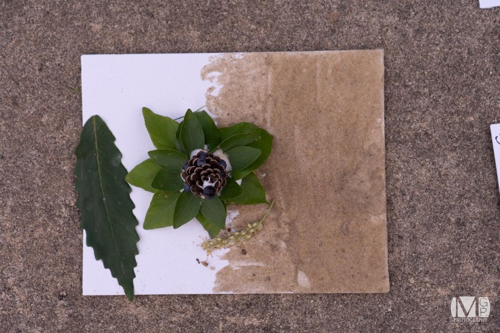 Reconnecting With Nature: The Nature&nbsp;Portrait