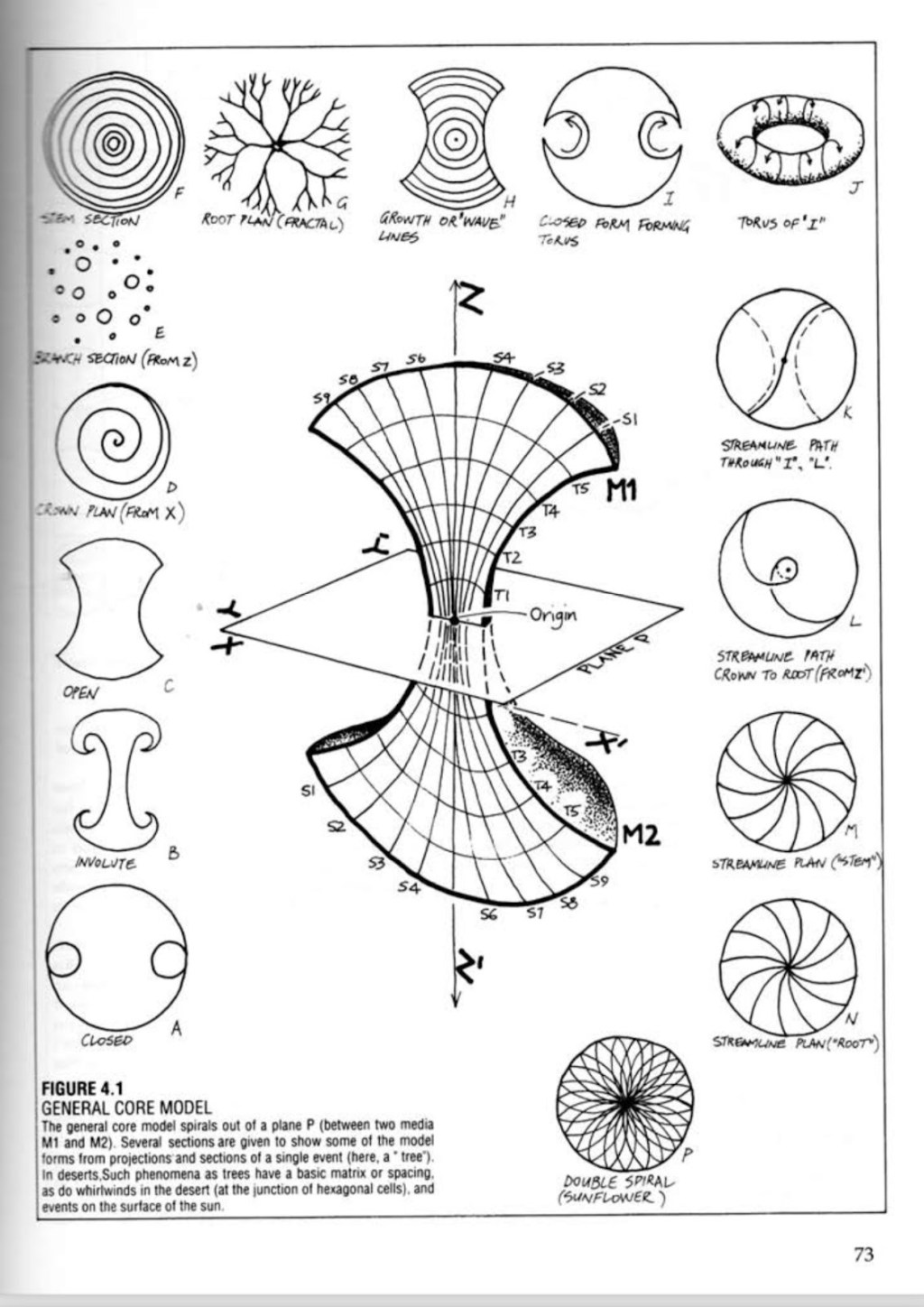 Why A Bear Can Rest At&nbsp;Ease