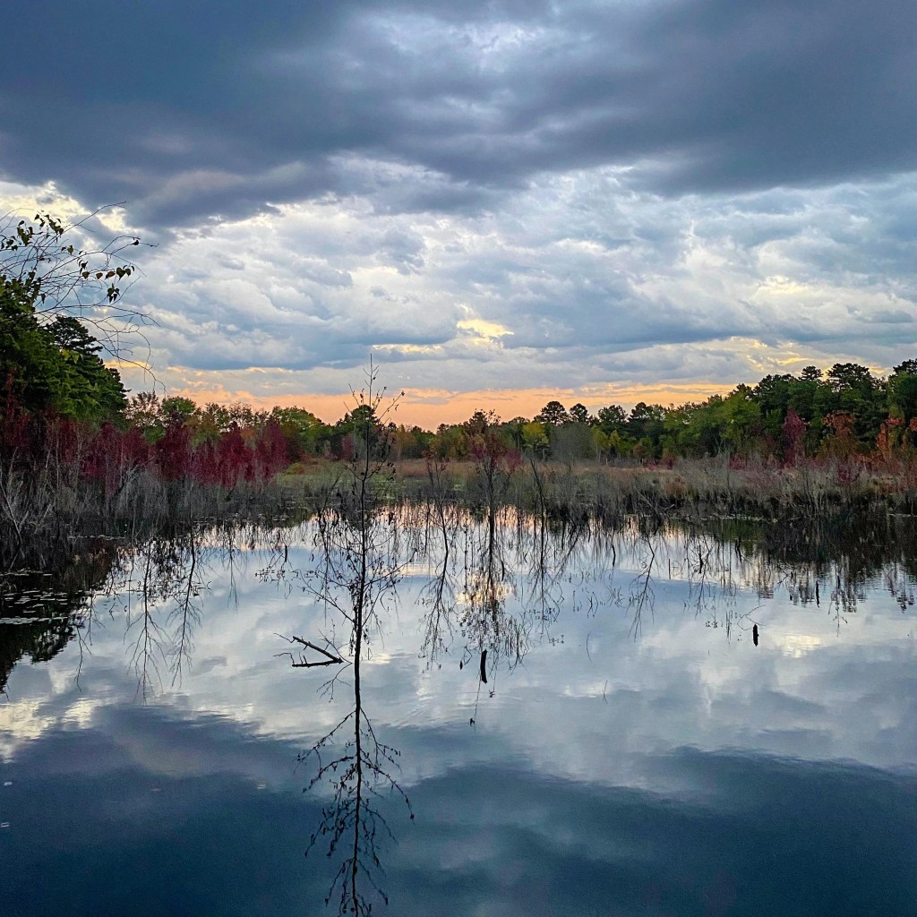 Consistent Walks in Local&nbsp;Ecosystems