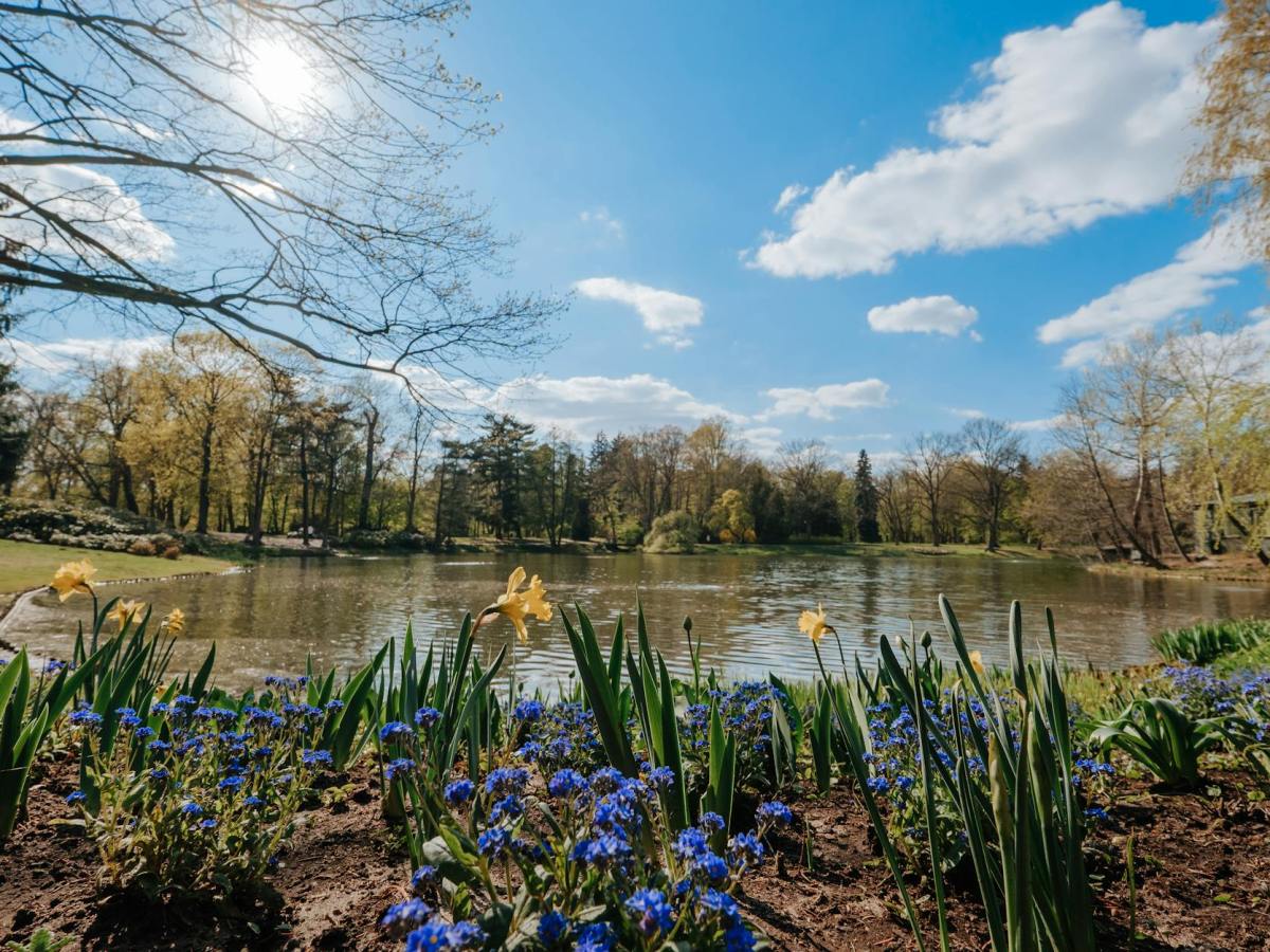 The First Signs of&nbsp;Spring