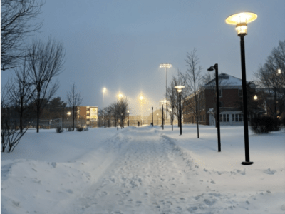 Life Continues Beneath the Winter&nbsp;Snow