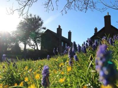 Holnicote Estate Rewilding