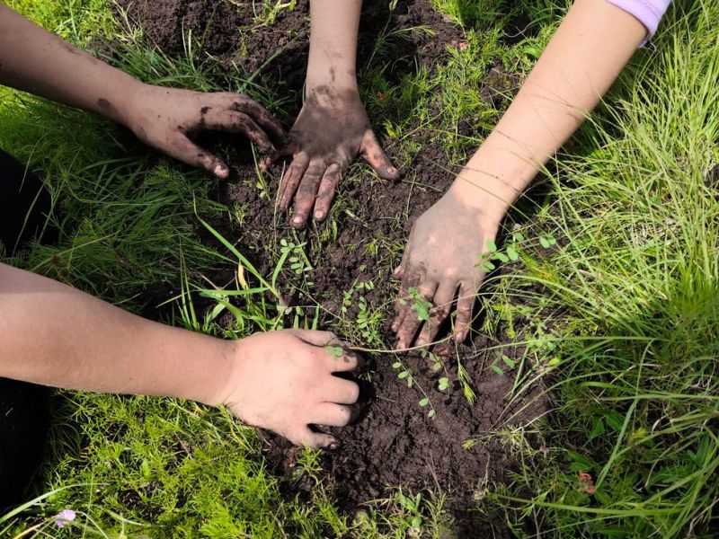 Suburban Monoculture in the Garden&nbsp;State